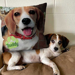 18x18 Pillow - Personalized Pet Pillow, Custom Pillows with Picture